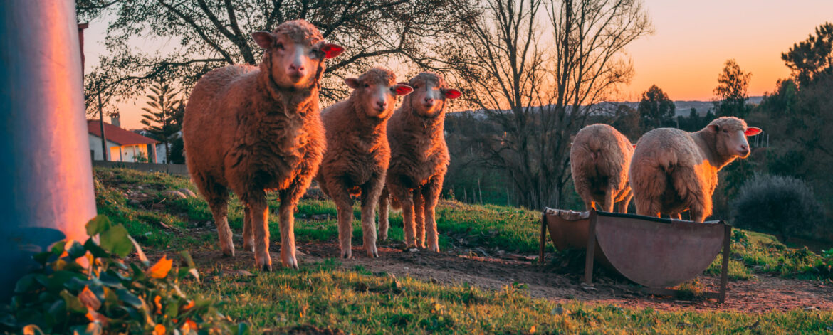 OLYMPUS DIGITAL CAMERA OLYMPUS DIGITAL CAMERA