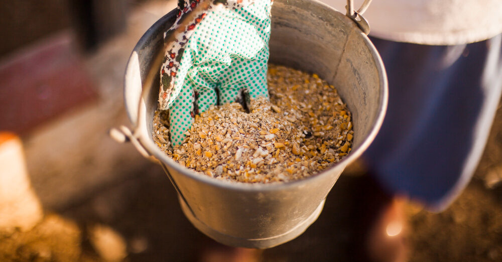 2147907111 2147907111